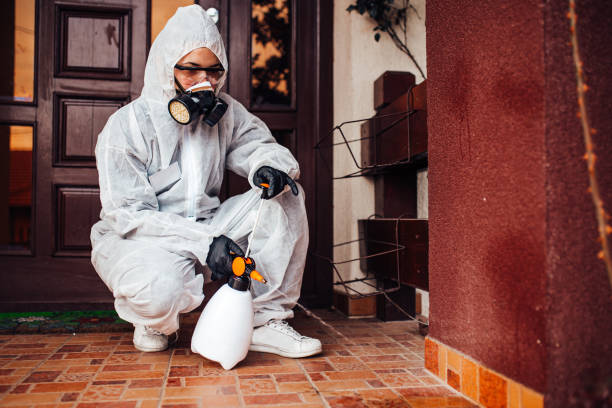 Reliable Cockroach Control contractor in Blackwell, OK by Nex Pest Control