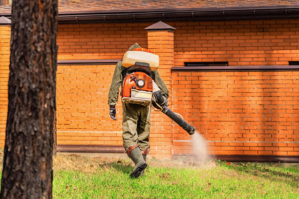 Trusted Cockroach Control service in Blackwell, OK - Nex Pest Control